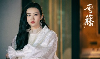 司藤剧情 司藤剧情是什么