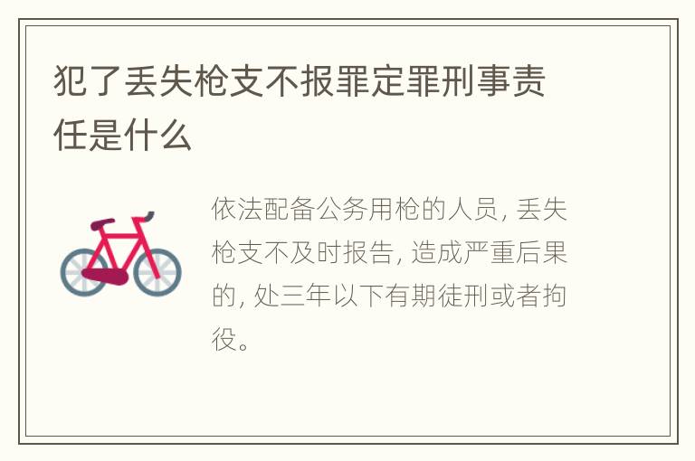 犯了丢失枪支不报罪定罪刑事责任是什么