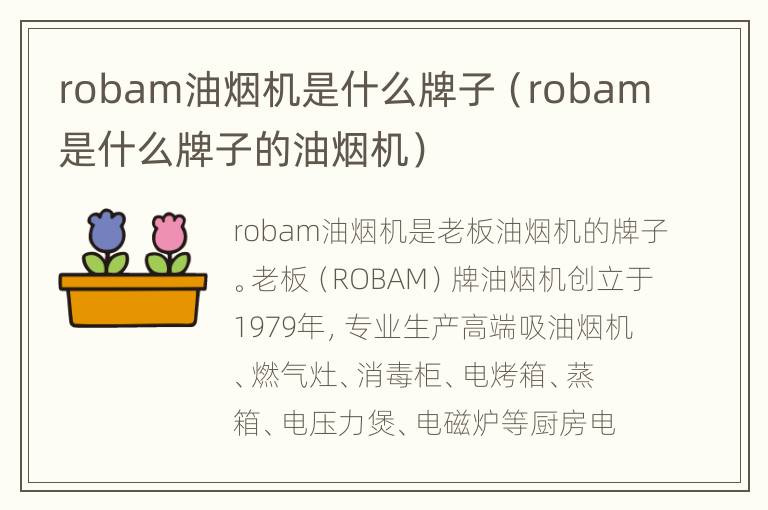 robam油烟机是什么牌子（robam是什么牌子的油烟机）