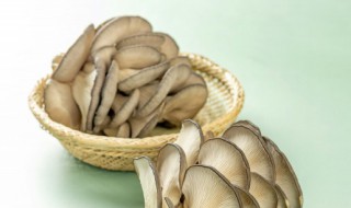 新鲜蘑菇保存方法 新鲜蘑菇应该怎么保存