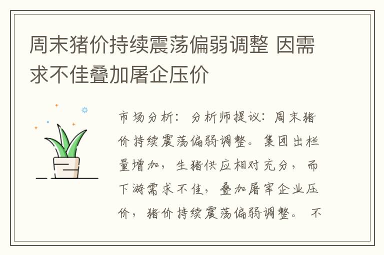 周末猪价持续震荡偏弱调整 因需求不佳叠加屠企压价
