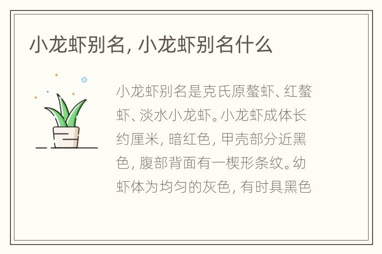小龙虾别名，小龙虾别名什么