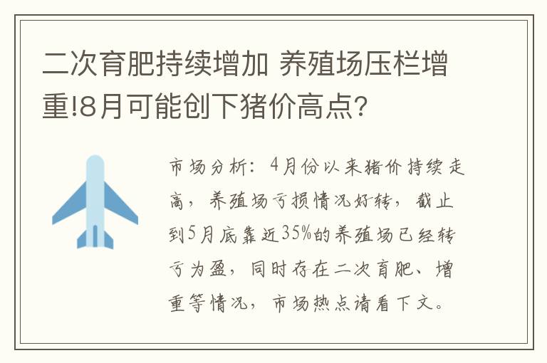 二次育肥持续增加 养殖场压栏增重!8月可能创下猪价高点?