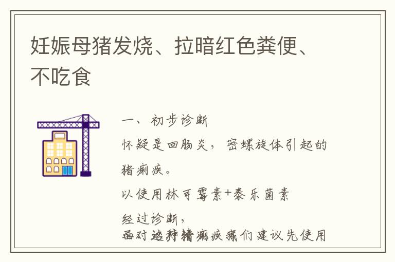 妊娠母猪发烧、拉暗红色粪便、不吃食