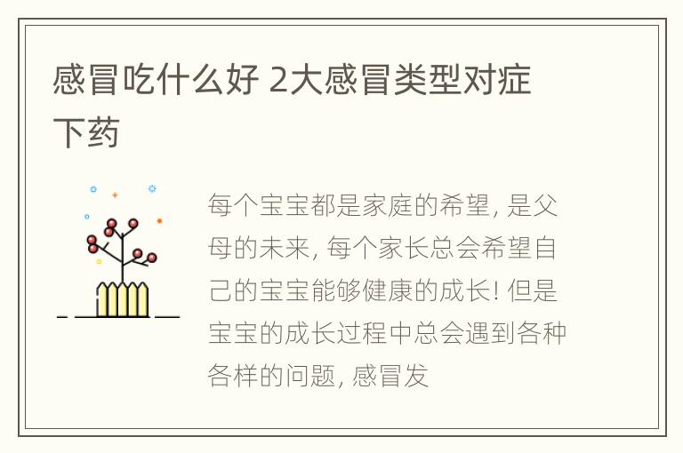 感冒吃什么好 2大感冒类型对症下药