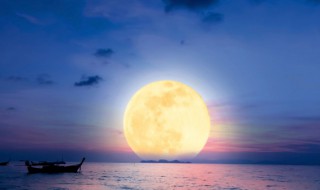 中秋节上海哪里好玩 上海中秋节去哪里玩合适