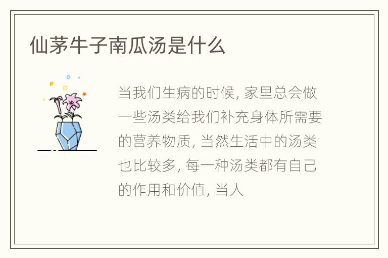 仙茅牛子南瓜汤是什么
