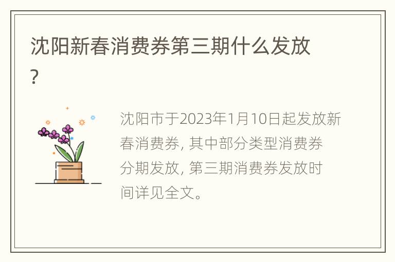 沈阳新春消费券第三期什么发放？
