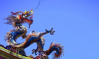 九宫八卦一阵中是什么动物 九宫八卦一阵中是啥动物