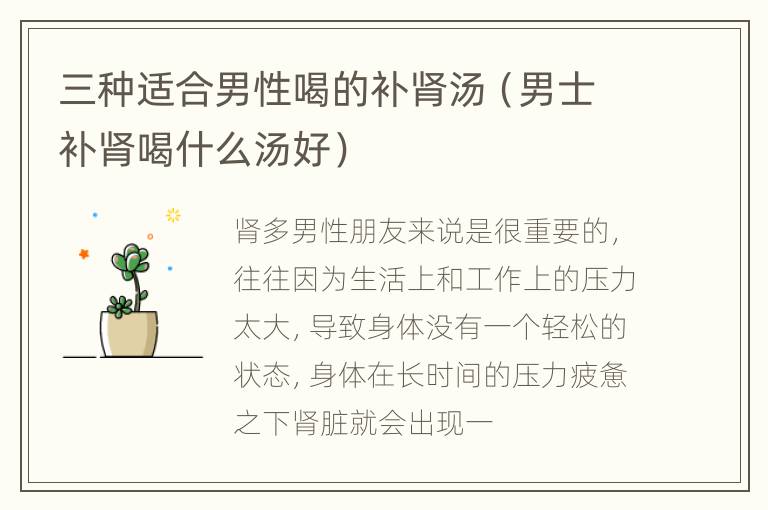 三种适合男性喝的补肾汤（男士补肾喝什么汤好）