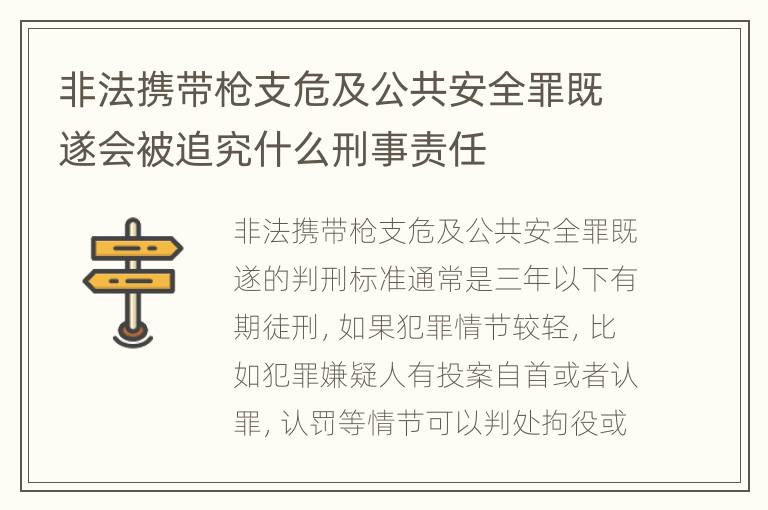 非法携带枪支危及公共安全罪既遂会被追究什么刑事责任