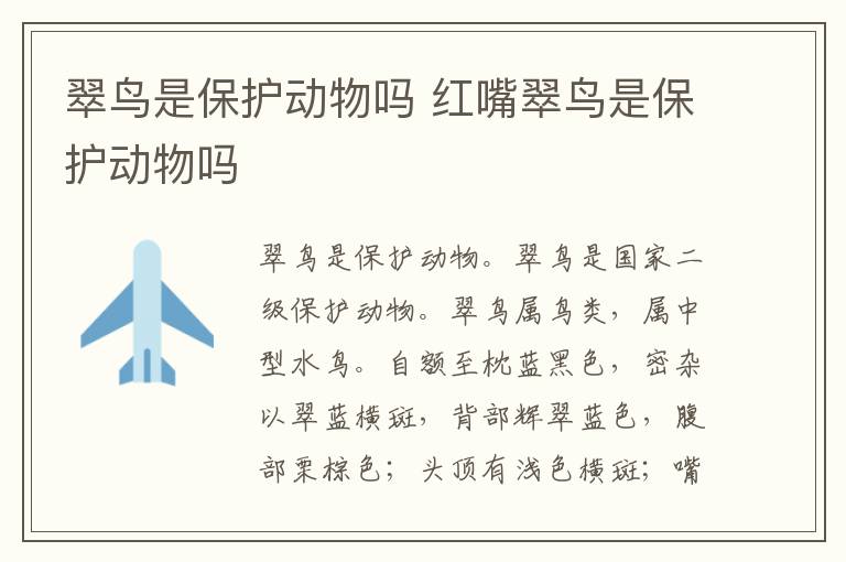 翠鸟是保护动物吗 红嘴翠鸟是保护动物吗