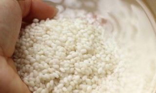 糯米要泡多久才能蒸 蒸糯米方法