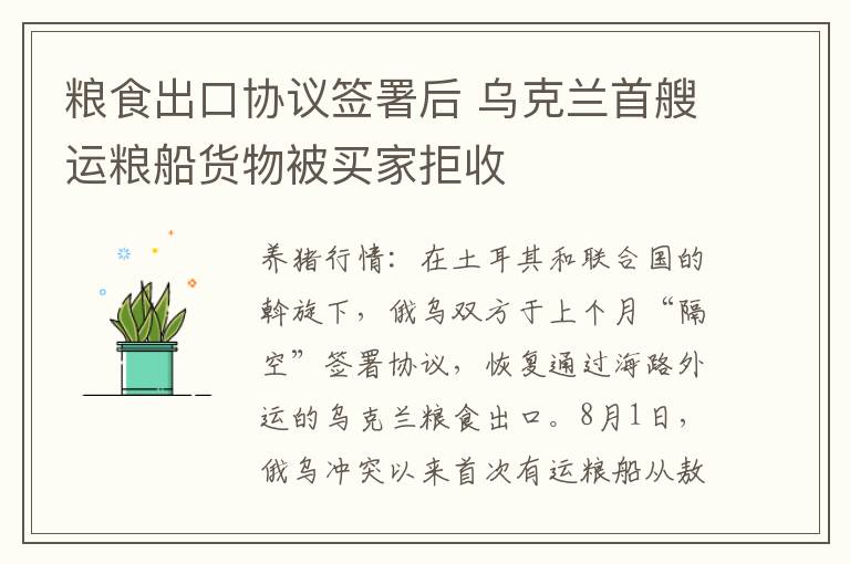 粮食出口协议签署后 乌克兰首艘运粮船货物被买家拒收