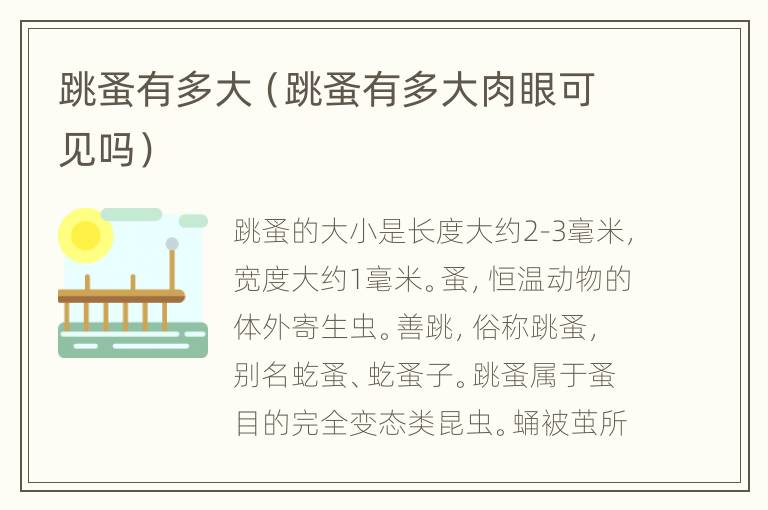 跳蚤有多大（跳蚤有多大肉眼可见吗）