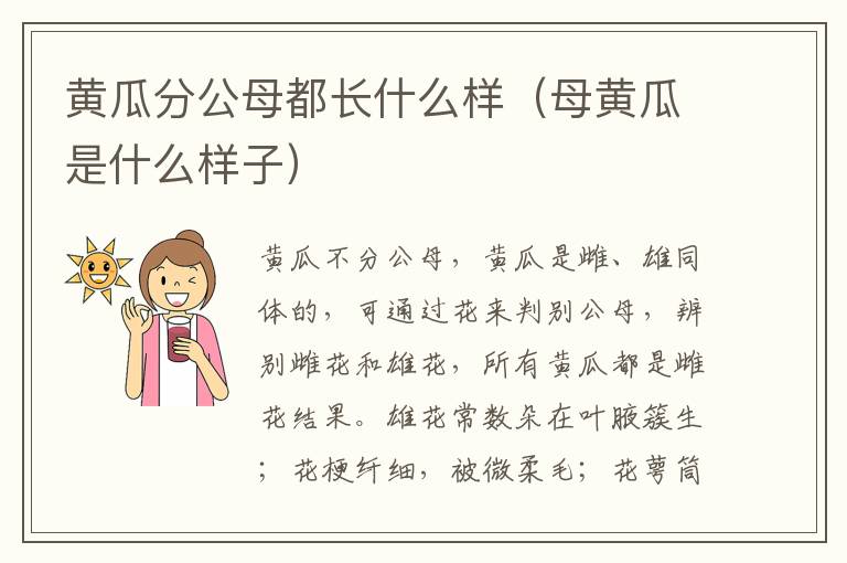 黄瓜分公母都长什么样（母黄瓜是什么样子）