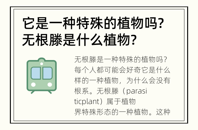 它是一种特殊的植物吗? 无根滕是什么植物?