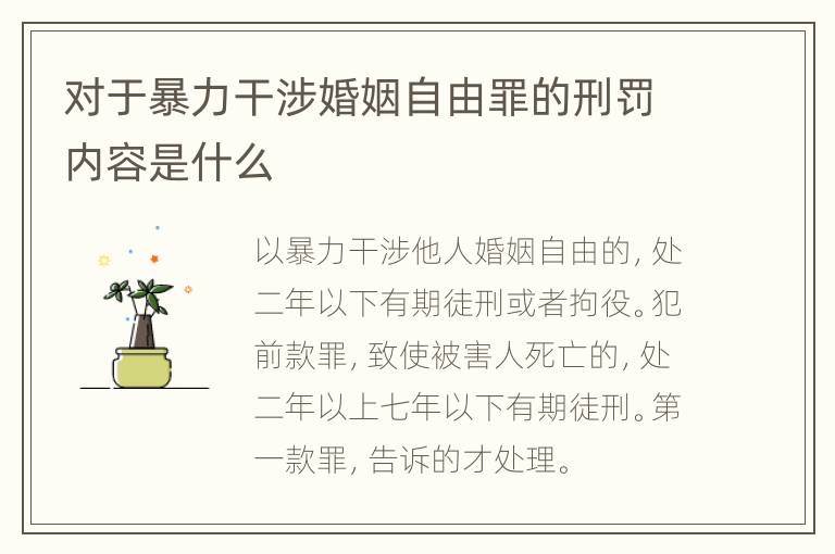 对于暴力干涉婚姻自由罪的刑罚内容是什么