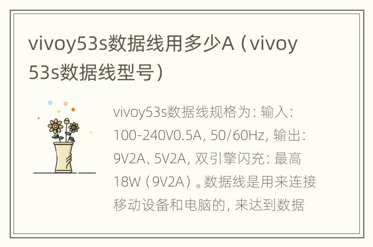 vivoy53s数据线用多少A（vivoy53s数据线型号）
