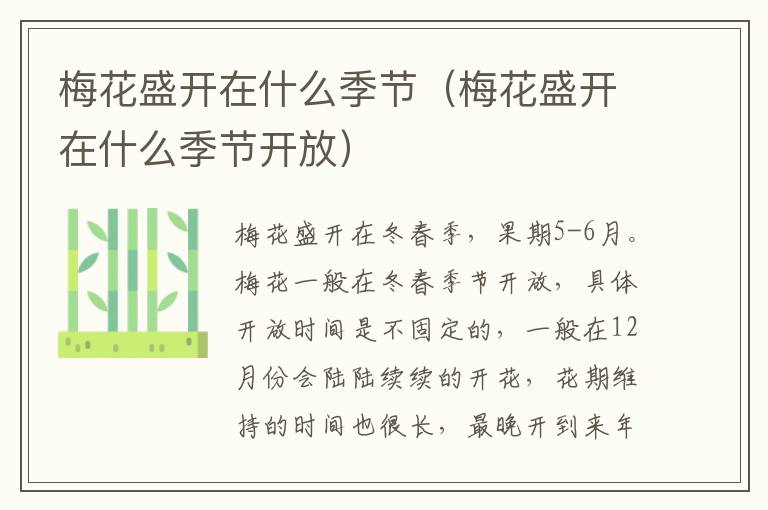 梅花盛开在什么季节（梅花盛开在什么季节开放）