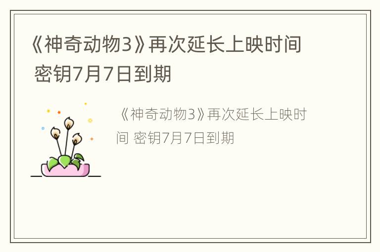 《神奇动物3》再次延长上映时间 密钥7月7日到期