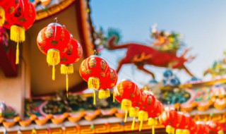 过年应该摆什么（过年应该摆什么水果）