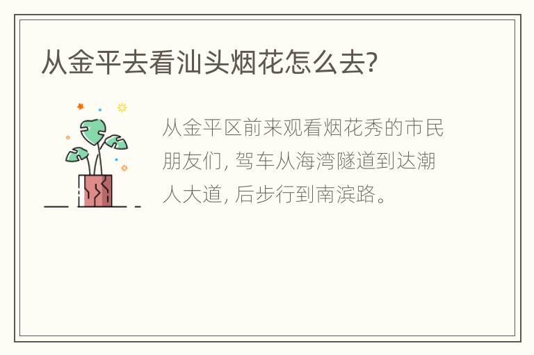 从金平去看汕头烟花怎么去？