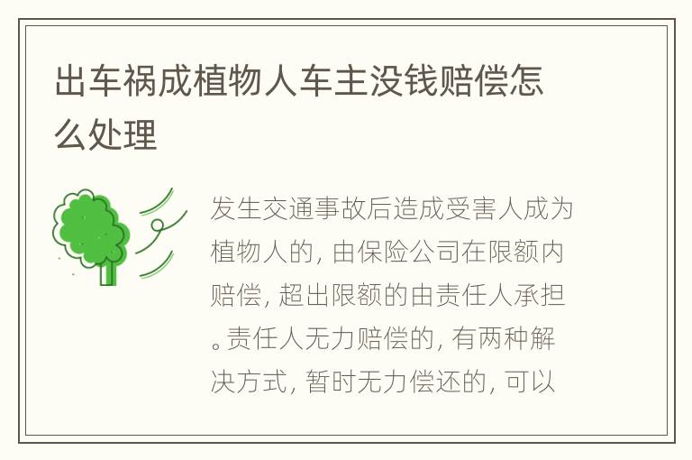 出车祸成植物人车主没钱赔偿怎么处理