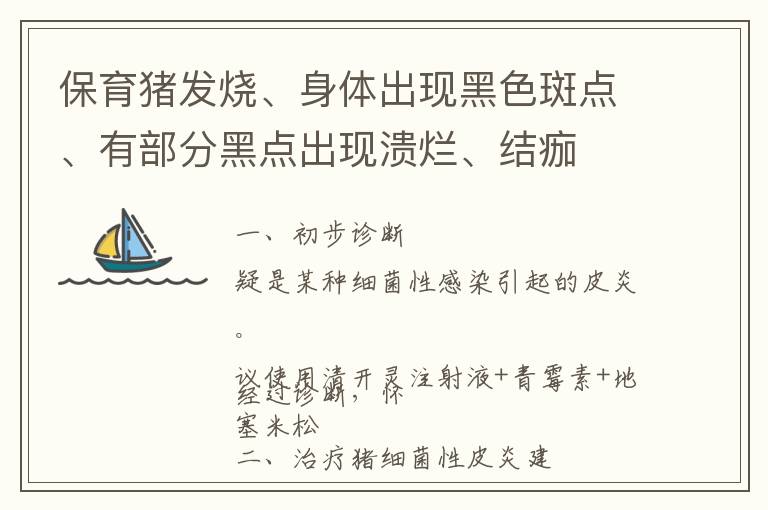 保育猪发烧、身体出现黑色斑点、有部分黑点出现溃烂、结痂