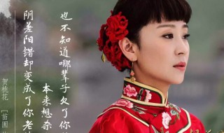 桃花依旧笑春风的电视剧演员表 桃花依旧笑春风电视剧简介