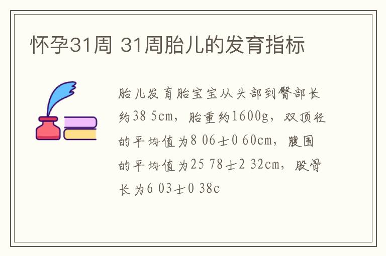 怀孕31周 31周胎儿的发育指标