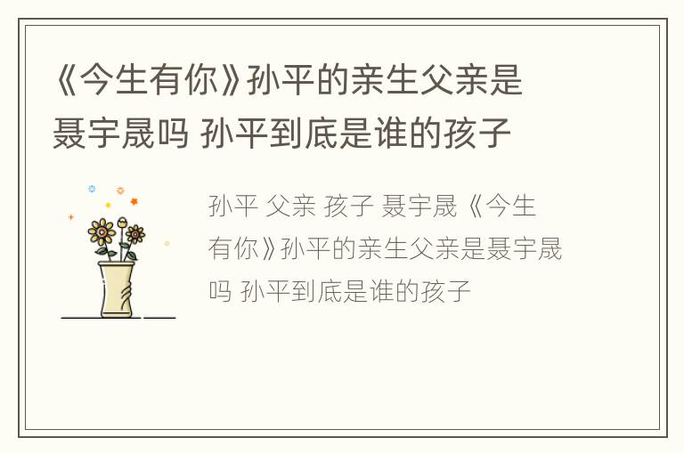 《今生有你》孙平的亲生父亲是聂宇晟吗 孙平到底是谁的孩子
