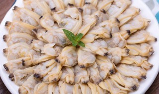活蚬子肉冷冻方法 蚬子肉简单好吃的做法