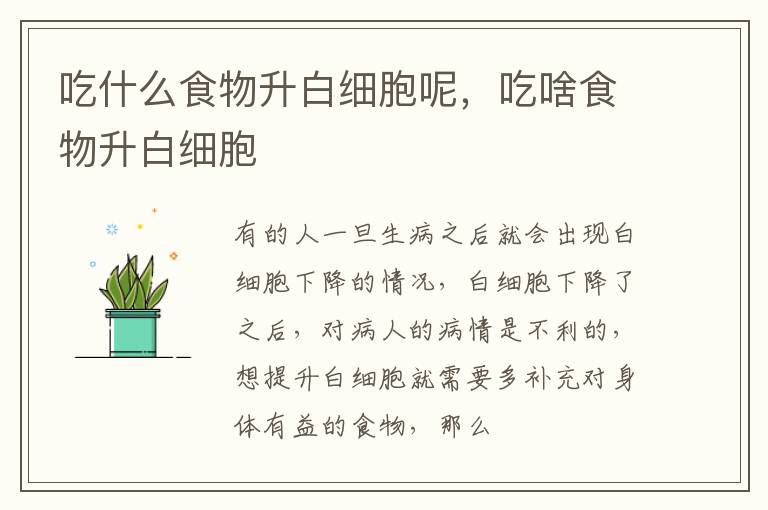 吃什么食物升白细胞呢，吃啥食物升白细胞