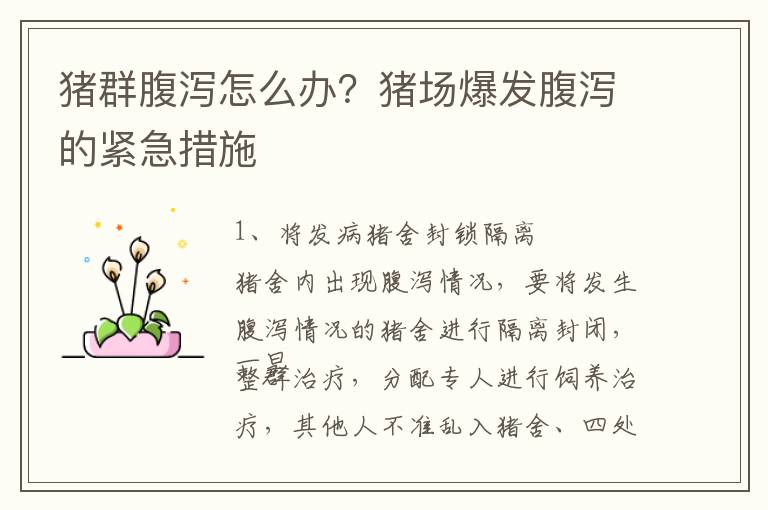 猪群腹泻怎么办？猪场爆发腹泻的紧急措施