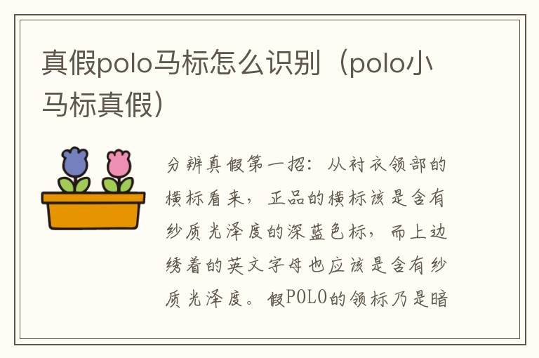 真假polo马标怎么识别（polo小马标真假）