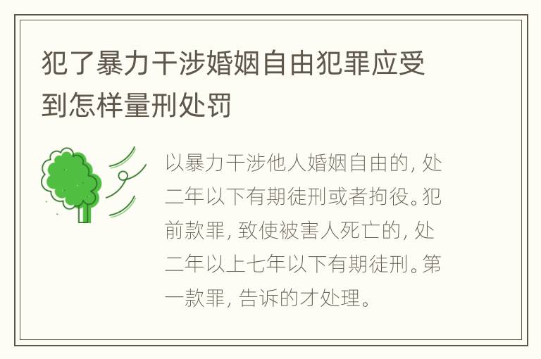 犯了暴力干涉婚姻自由犯罪应受到怎样量刑处罚