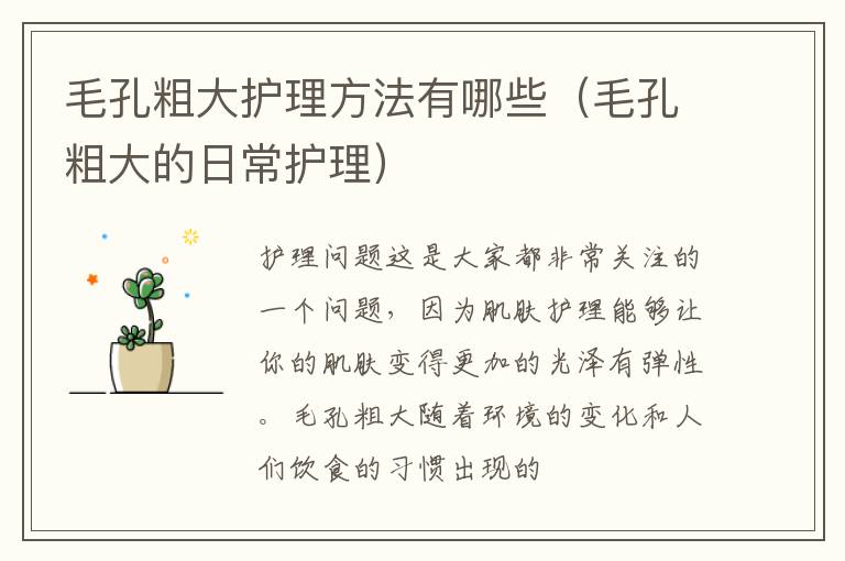 毛孔粗大护理方法有哪些（毛孔粗大的日常护理）