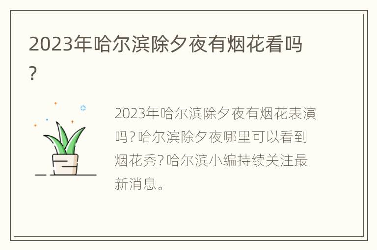 2023年哈尔滨除夕夜有烟花看吗？