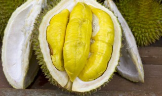 榴莲能冷冻保存吗 能不能冷冻保存榴莲