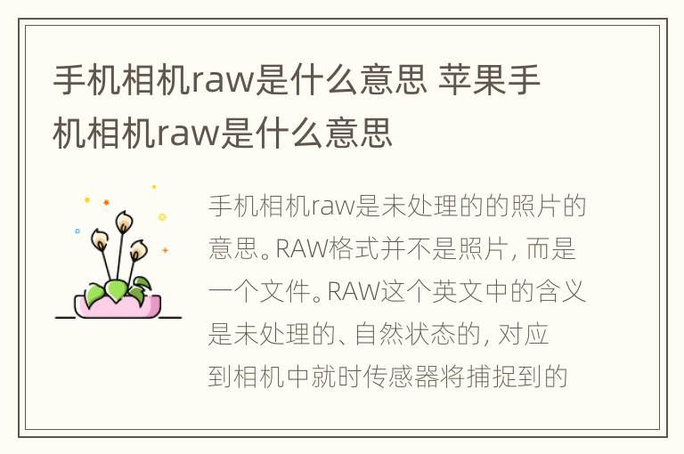 手机相机raw是什么意思 苹果手机相机raw是什么意思