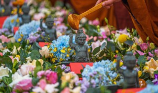 浴佛节适合用什么花 浴佛节介绍