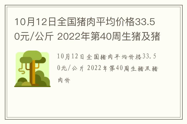 10月12日全国猪肉平均价格33.50元/公斤 2022年第40周生猪及猪肉价