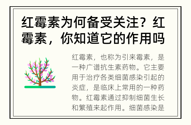 红霉素为何备受关注？ 红霉素，你知道它的作用吗？