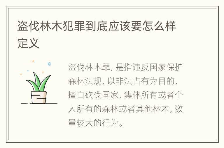 盗伐林木犯罪到底应该要怎么样定义