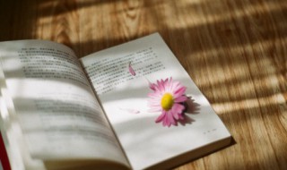 尪怎么读 尪有哪些衍义