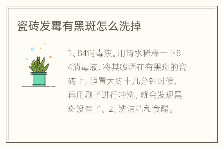 瓷砖发霉有黑斑怎么洗掉