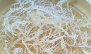 石花菜用冷水泡还是热水泡? 石花菜用什么水泡