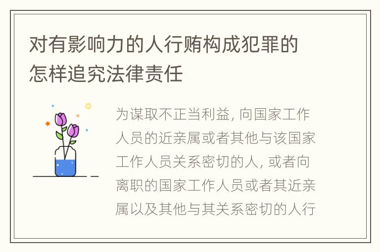 对有影响力的人行贿构成犯罪的怎样追究法律责任