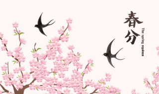 春分的来历和风俗是什么 春分的简介